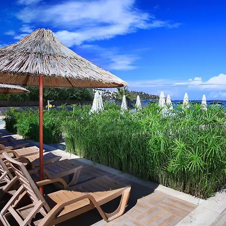 Cactus Fleur Station touristique