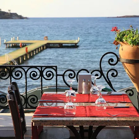 Cactus Fleur Resort Yalıkavak