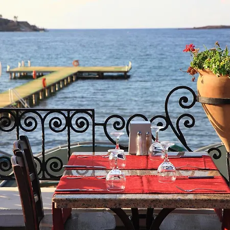 Fleur Bay 리조트 얄리카베크